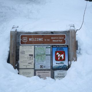 The Trailhead